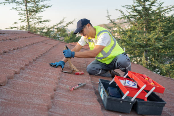 Best Local Roofing Companies  in Redland, TX